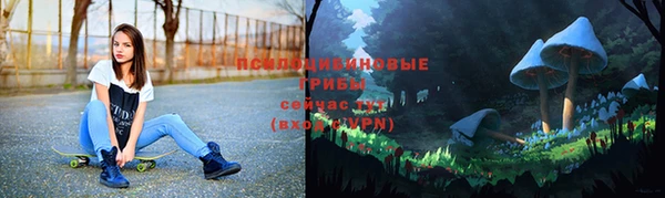 стаф Гусь-Хрустальный