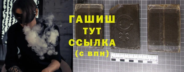 стафф Гусев