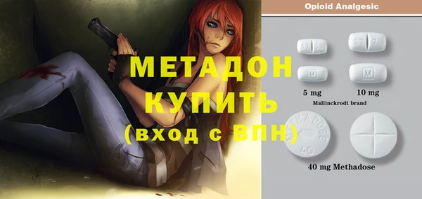 стафф Гусев