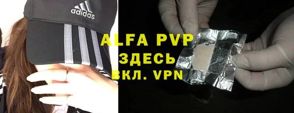 стафф Гусев