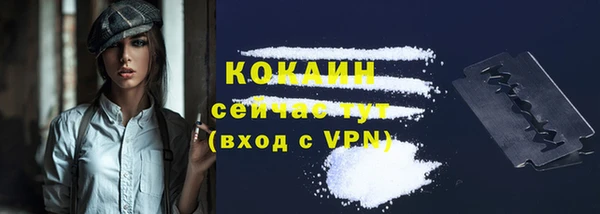 стафф Гусев