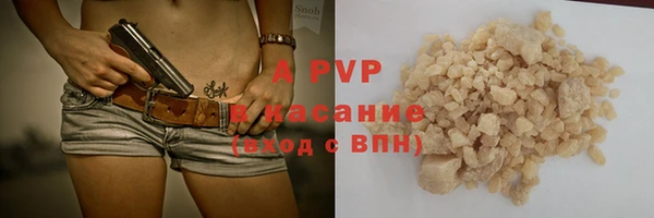 стафф Гусев