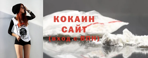 стаф Гусь-Хрустальный