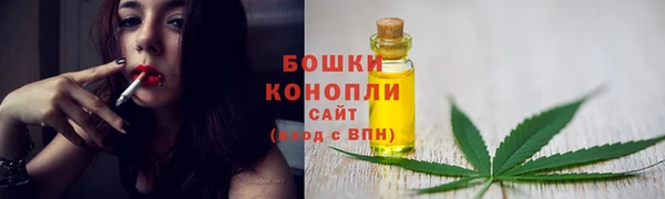 стаф Гусь-Хрустальный
