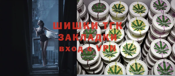 стафф Гусев