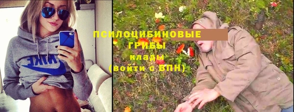 гашик Горно-Алтайск