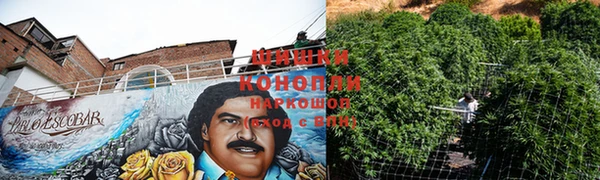 стафф Гусев