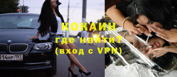 стафф Гусев