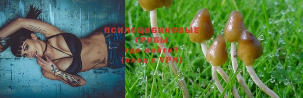 стафф Гусев